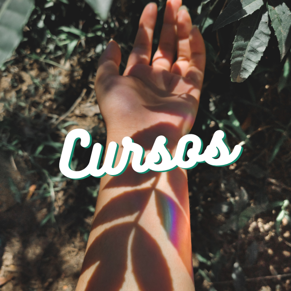 Cursos